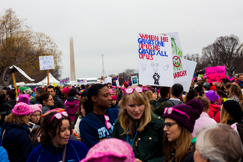 Illustration for article titled WOMEN'S MARCH ON WASHINGTON : THE SIGNS